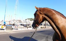 12-Monaco-Hello-Forever-1.jpg