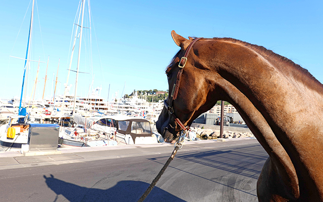 12-Monaco-Hello-Forever-1.jpg