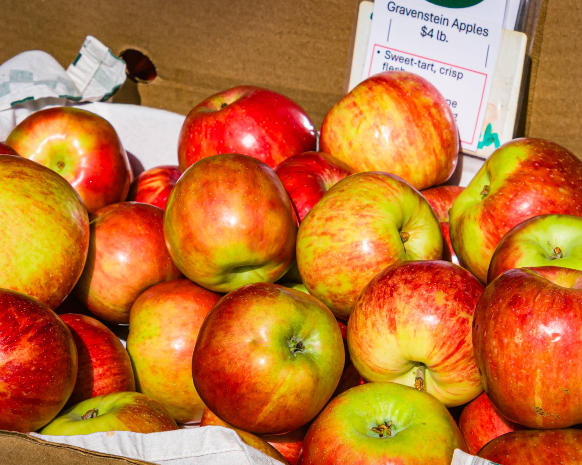 Gravenstein heirloom apple variety