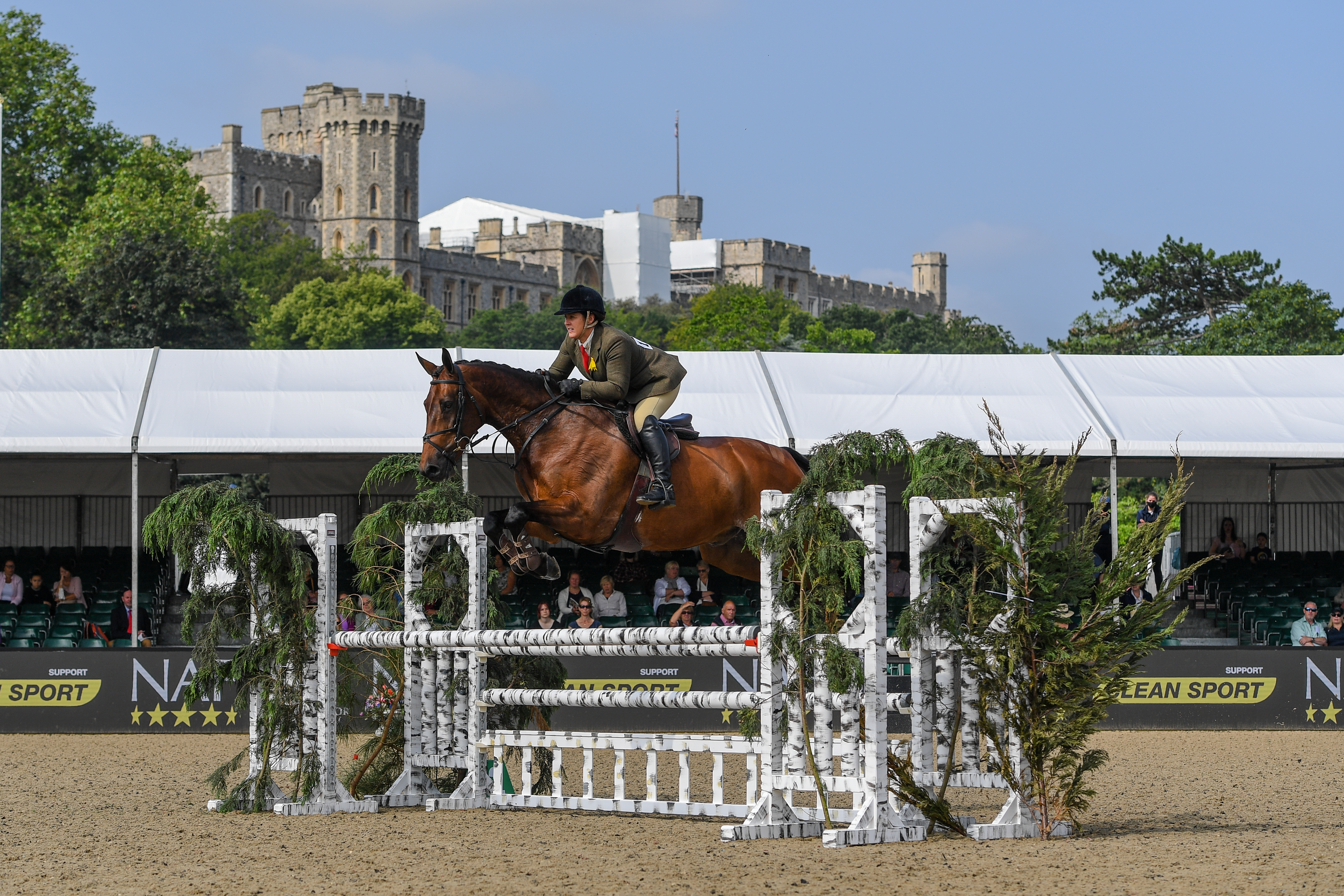 HorseNo1460_WHunterChamp_RWHS_PN21_17007.jpg