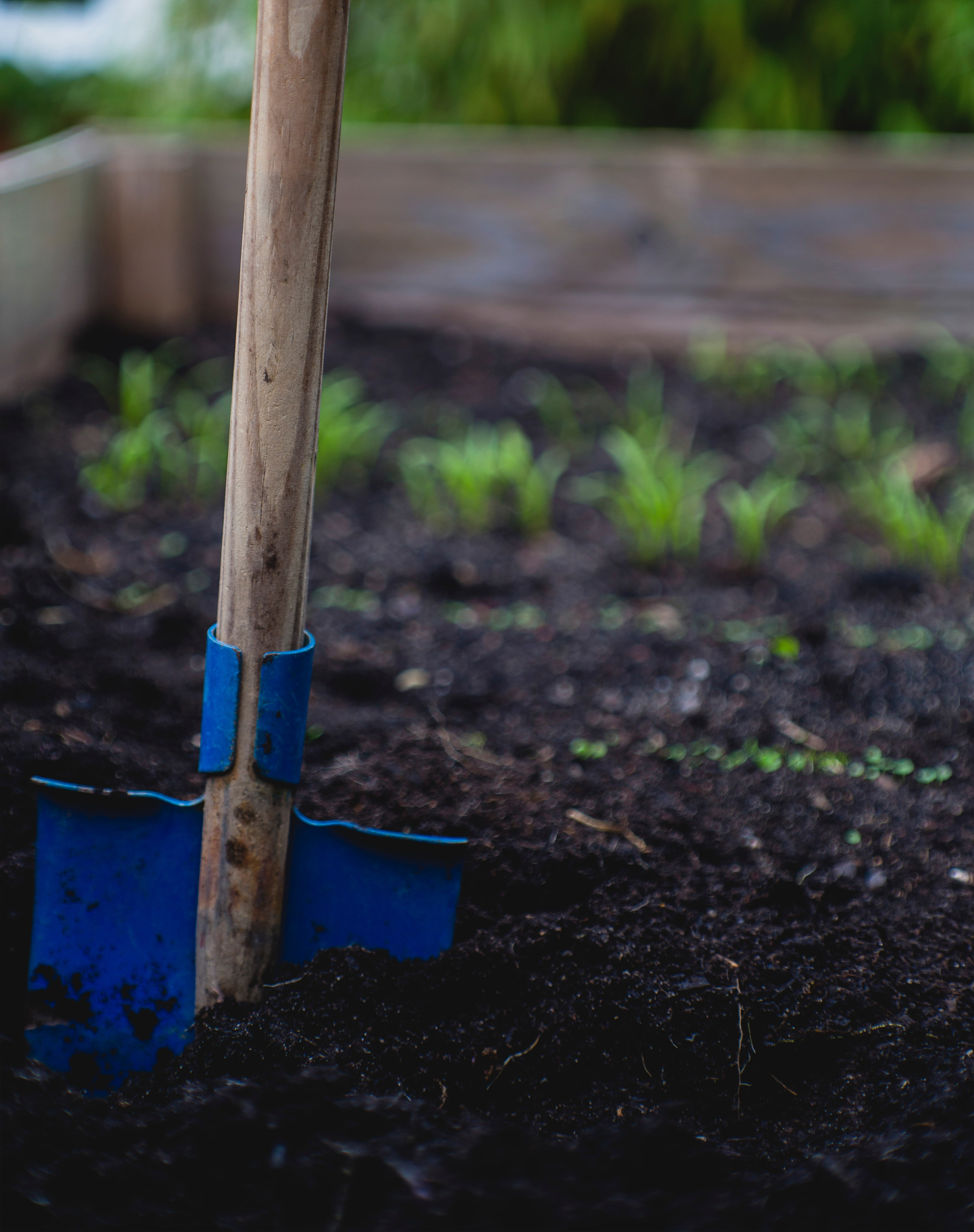 Garden trends: peat-free compost