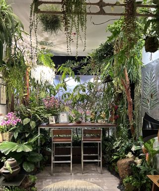 An apartment with an abundance of house plants at different levels