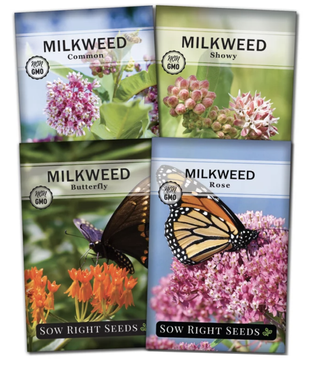 four packets of milkweed seeds