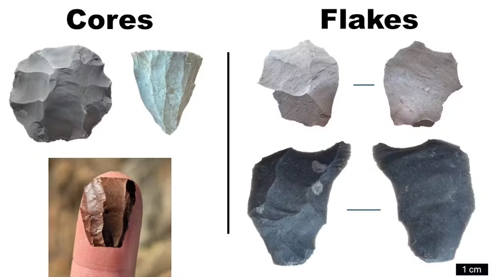 a diagram showing cores and flakes on handmade stone tools