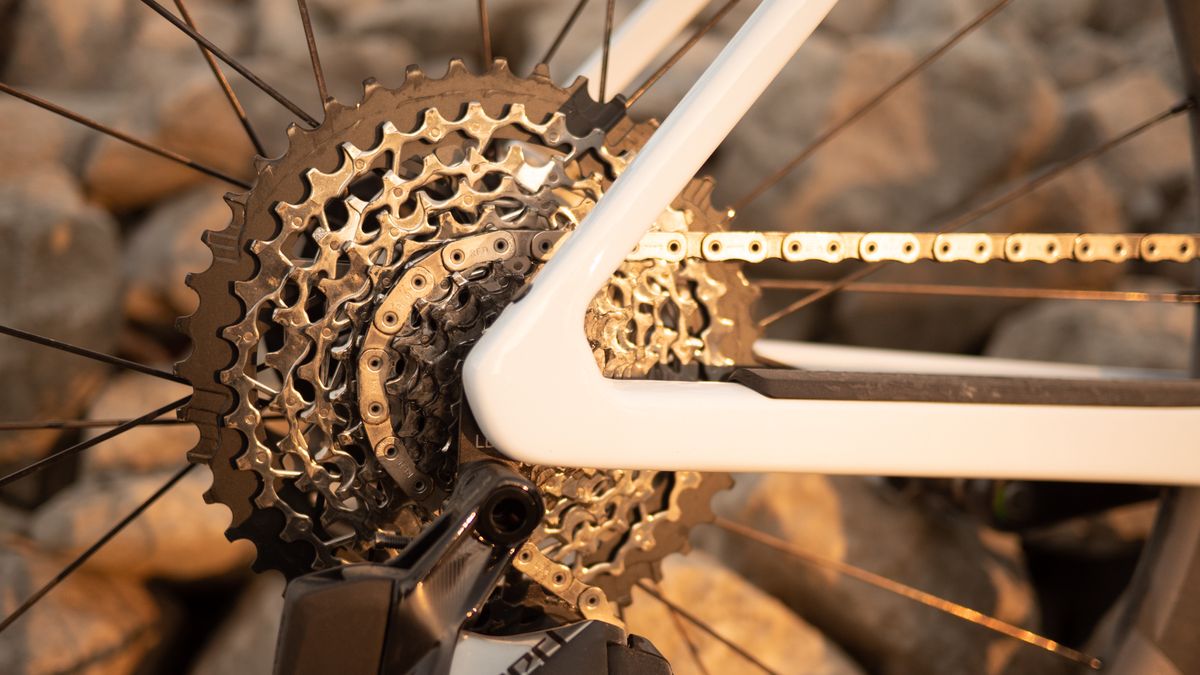 BMC Kaius 01 One rear cassette and smoothed axle mount