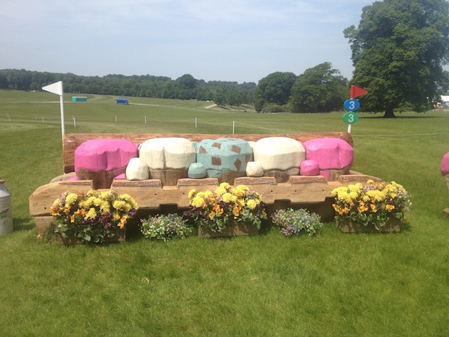 Bramham2015CCI3