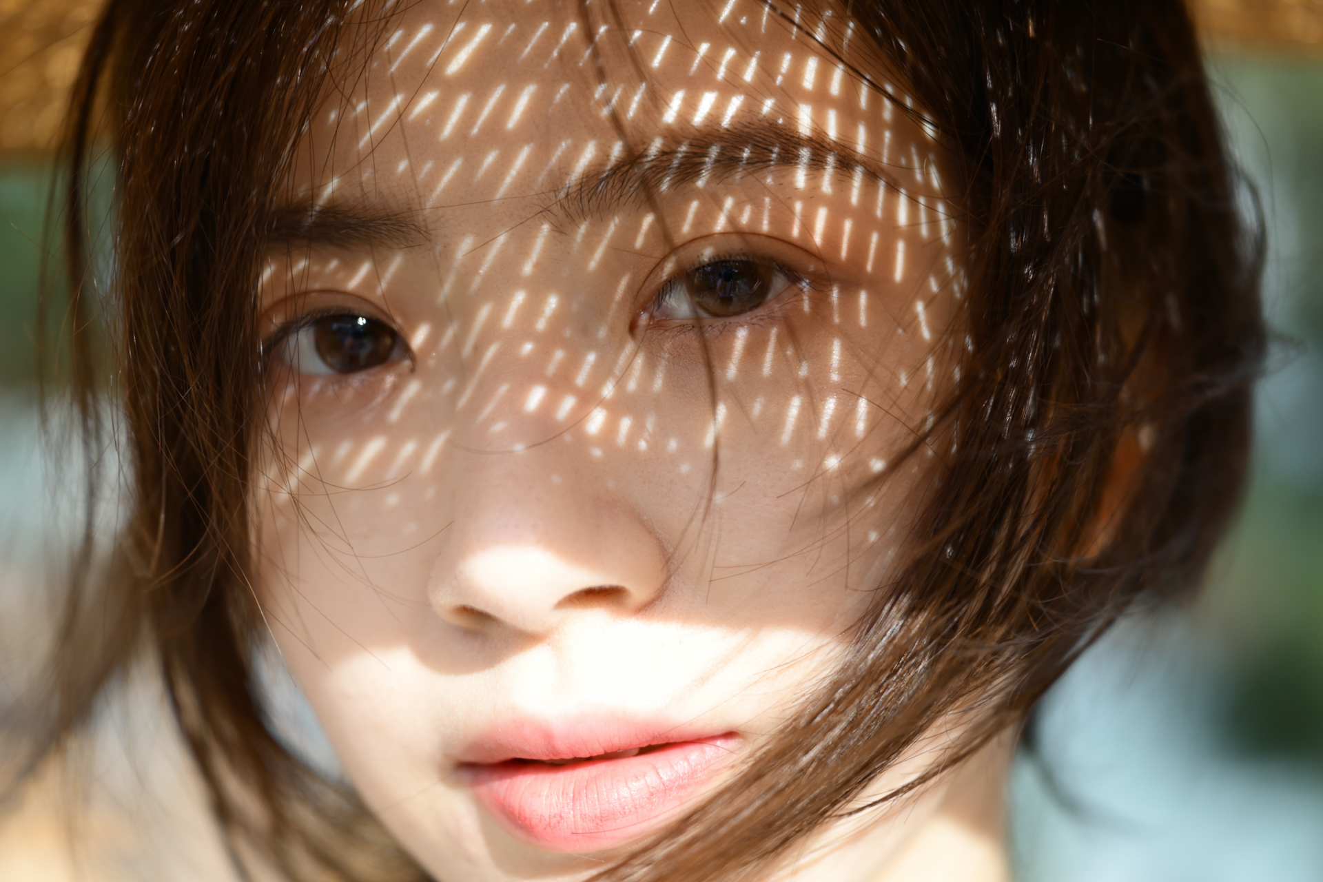 Nikon Z 24-70mm f/2.8 S II sample image