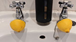 Lemons on each faucet end