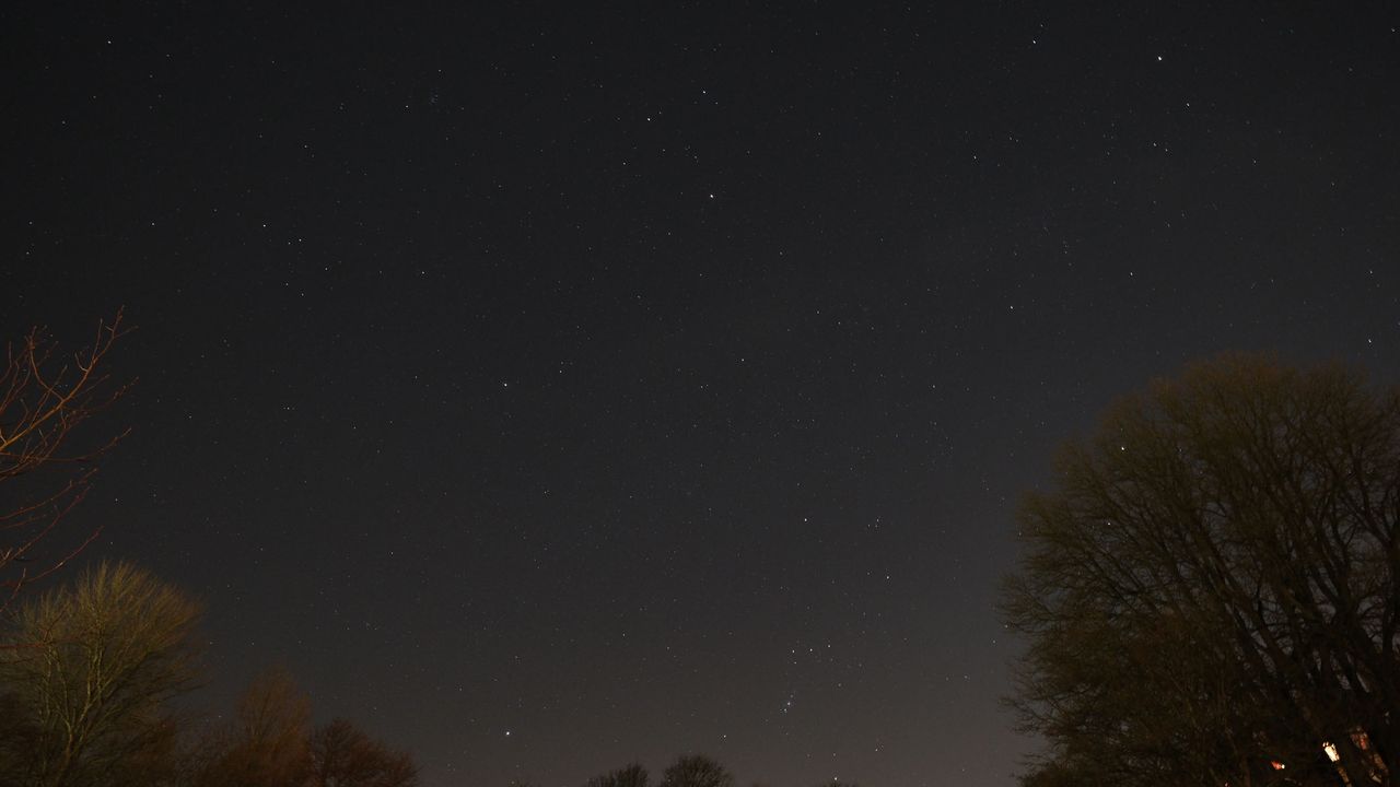 Stars in a light polluted area with trees in the bottom corners.