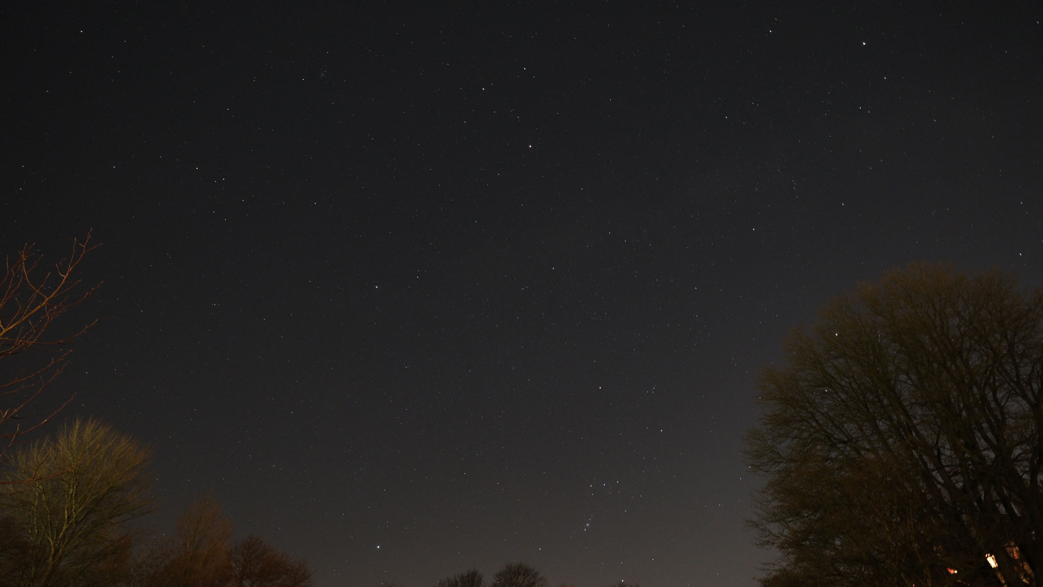 Stars in a light polluted area with trees in the bottom corners.
