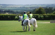 drones horses