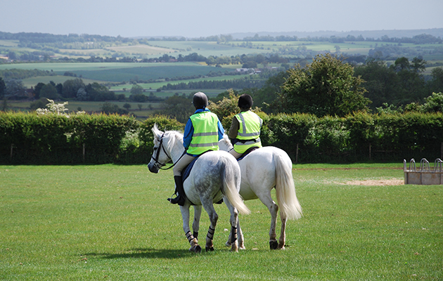 drones horses