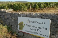 A Burgundy appellation sign for B&acirc;tard-Montrachet grand cru that is part of the November 2024 auction.