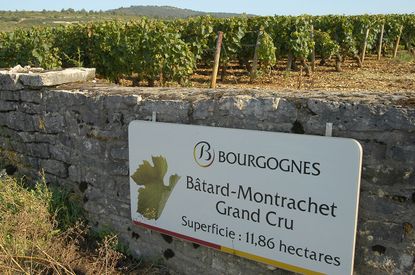 A Burgundy appellation sign for B&acirc;tard-Montrachet grand cru that is part of the November 2024 auction.