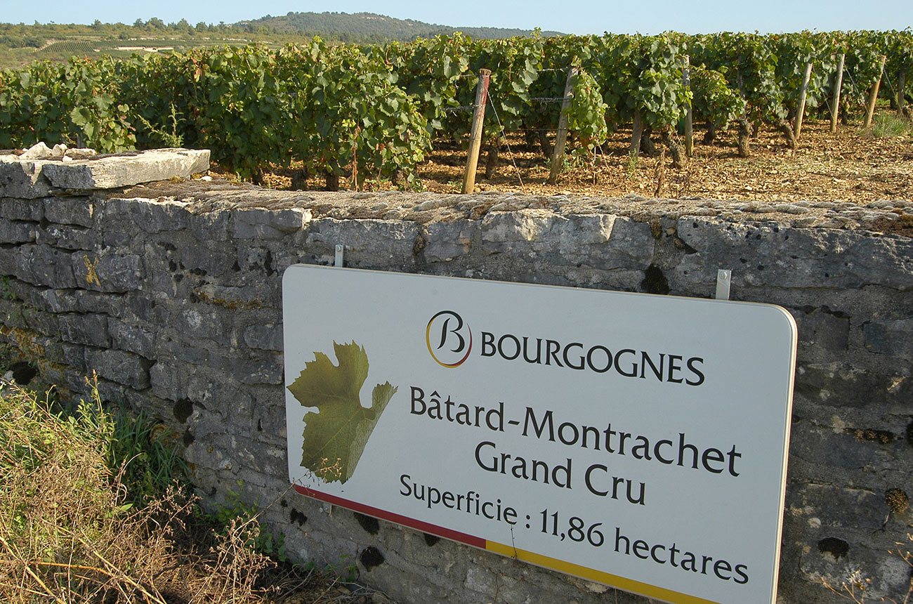 A Burgundy appellation sign for B&acirc;tard-Montrachet grand cru that is part of the November 2024 auction.