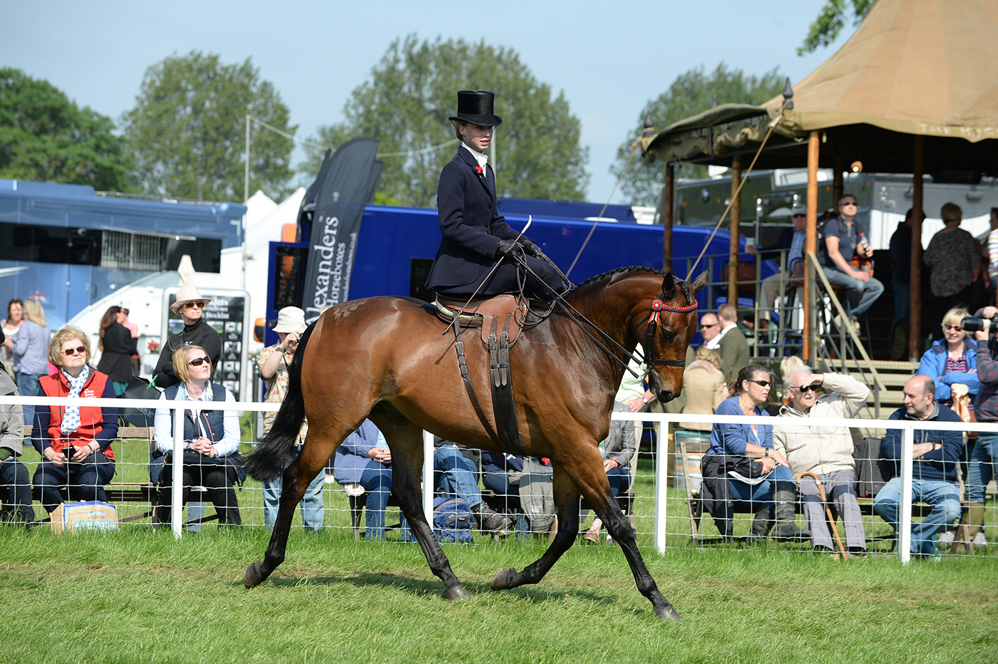 Royal Winsdor Horse Show 13.05.2016 Ladies Ridden championship