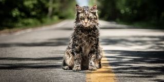 Pet Sematary cat Church