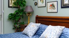 Made bed with plush blue sheets and blue and white patterned cushions, on wooden bed frame in front of large tree, bedside table with lamp. Four framed images of birds are partially pictured above the bed.