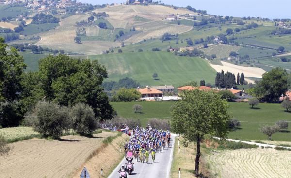 The peloton stage 6 of the Giro d'Italia