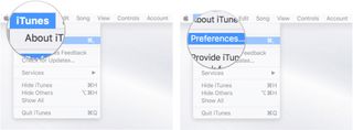 Click on the iTunes menu, then select Preferences