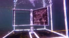 ocean energy turbine