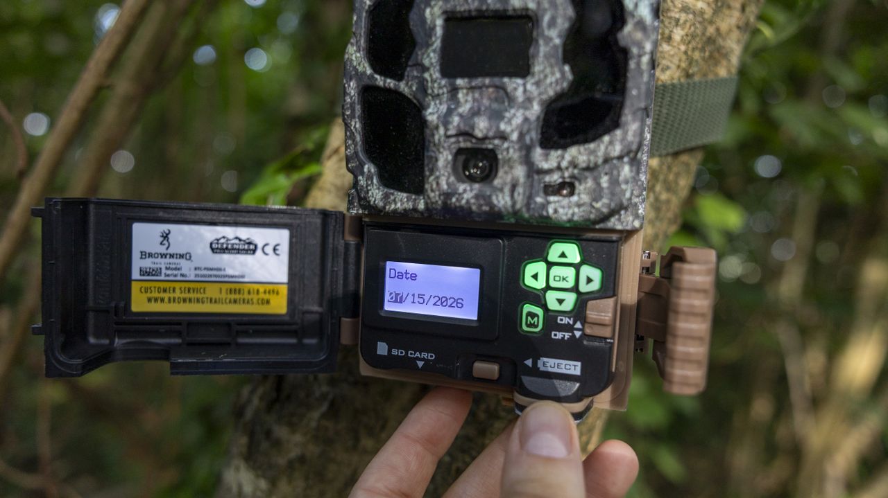 The Browning Defender Pro Scout Max Solar trail camera attached to a tree in a woodland