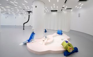 BIO:DIP', installation view of Hayden Dunham's work