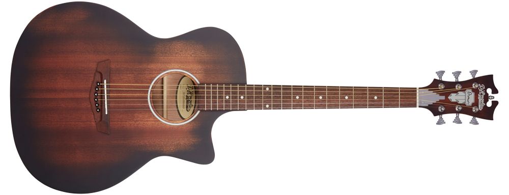 D'Angelico Premier Series LS acoustic