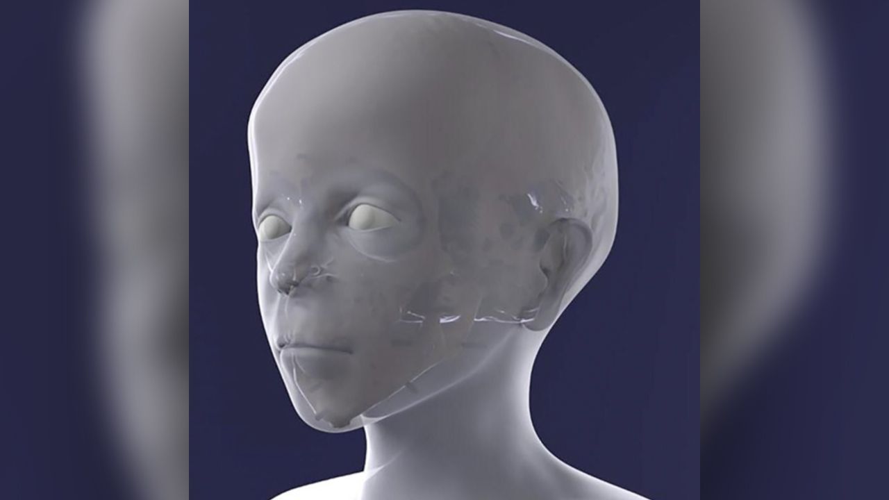 The remodeled face, without coloration or configured eyes.