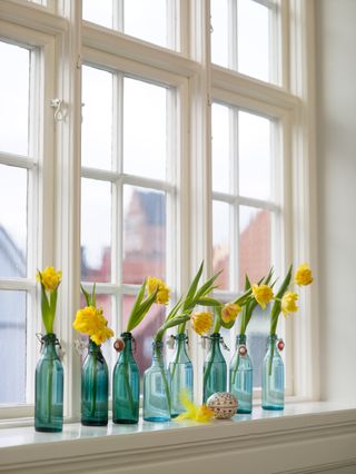 Daffodils in blue vases on a windowsill