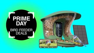 Prime Day bird feeder camera deals 