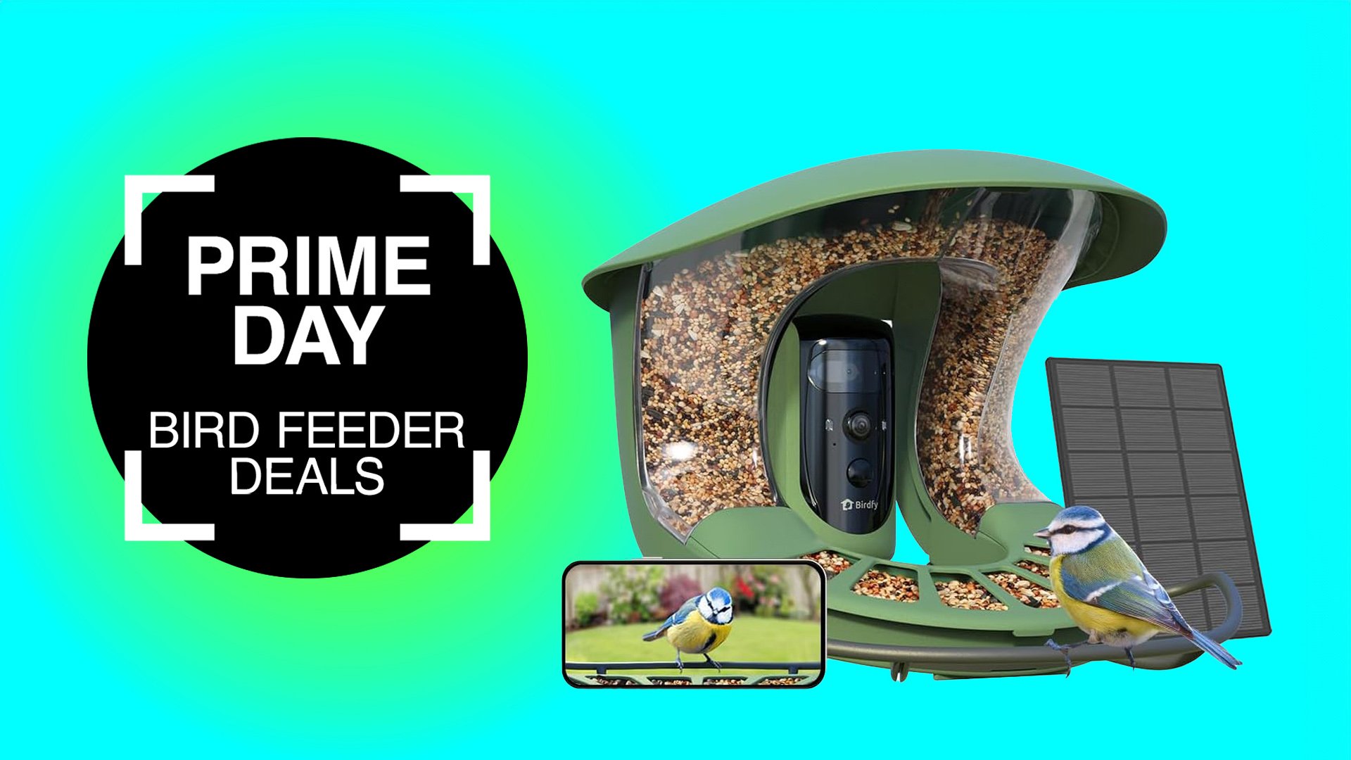 Prime Day bird feeder camera deals 