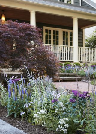 a garden bed of tall whispy plants in front of a large house