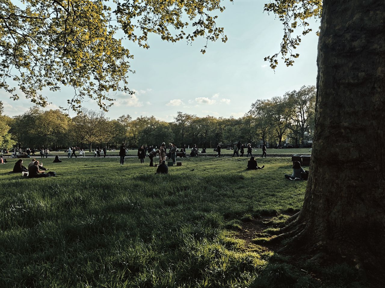 Leica filters on Xiaomi 15