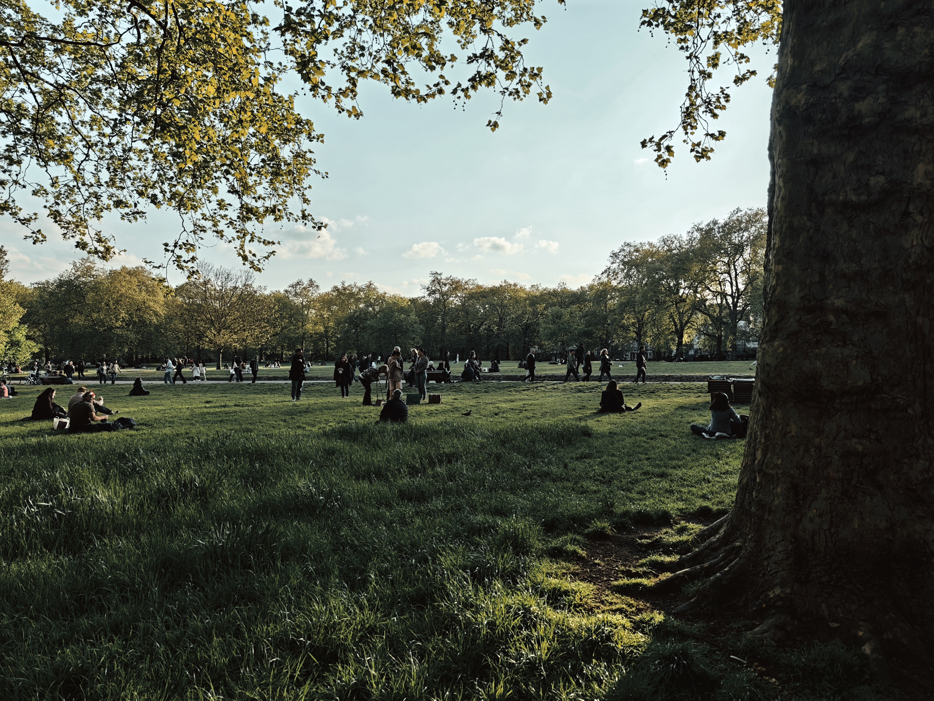Leica filters on Xiaomi 15