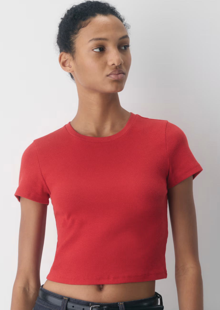 Aritzia, HomeStretch Rib Crew Waist T-Shirt