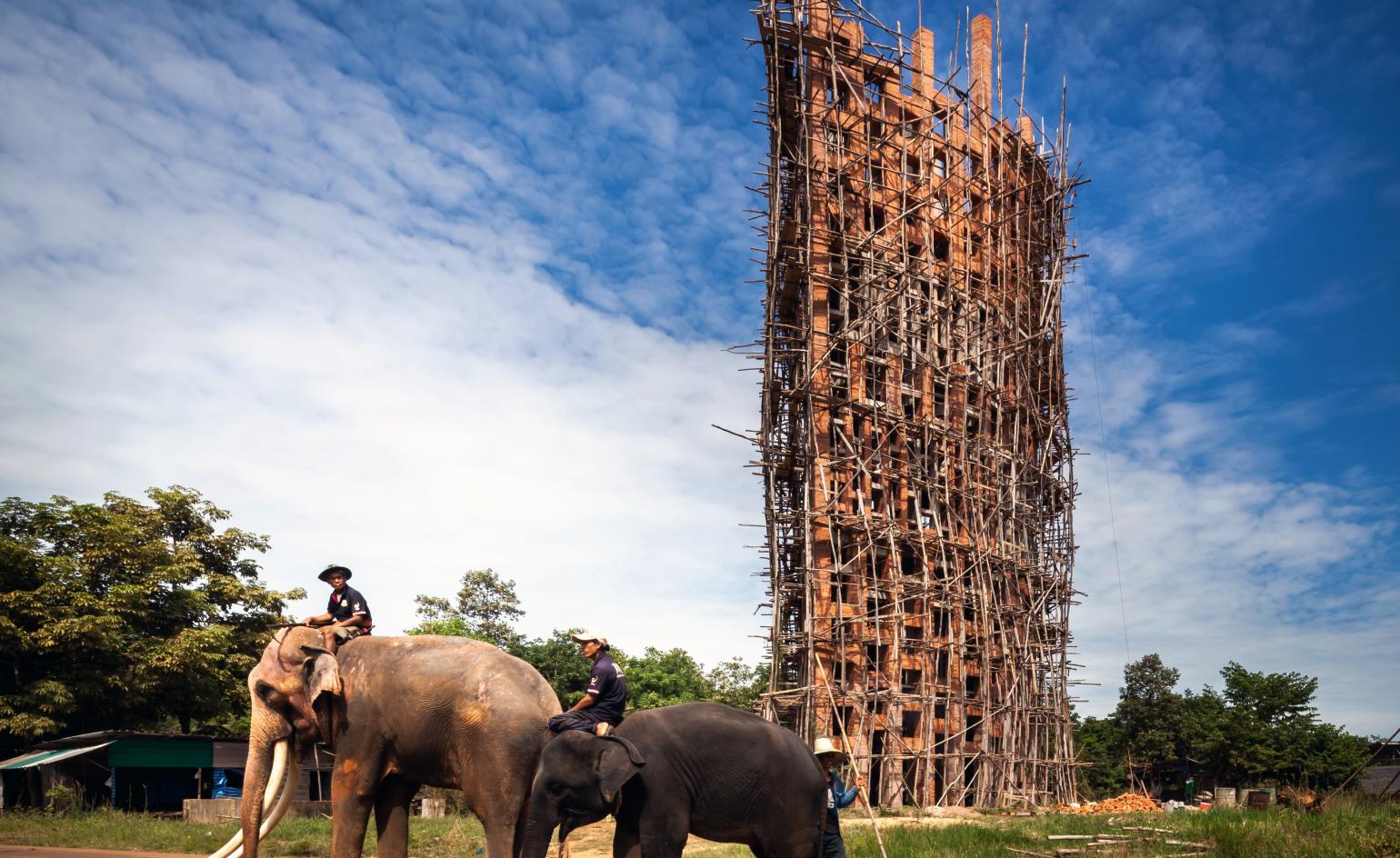 Project Studio Elephant World