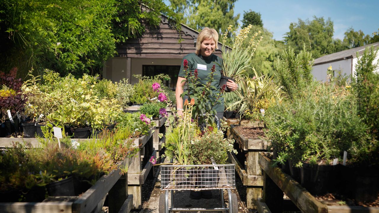 Woman shopping at the local garden centre