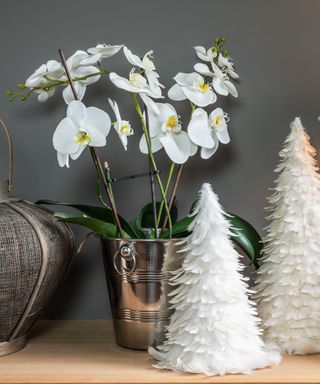 white moth orchid with white feather christmas tree decorations