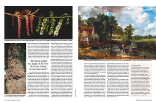 Spread from Country Life 5 March 2025