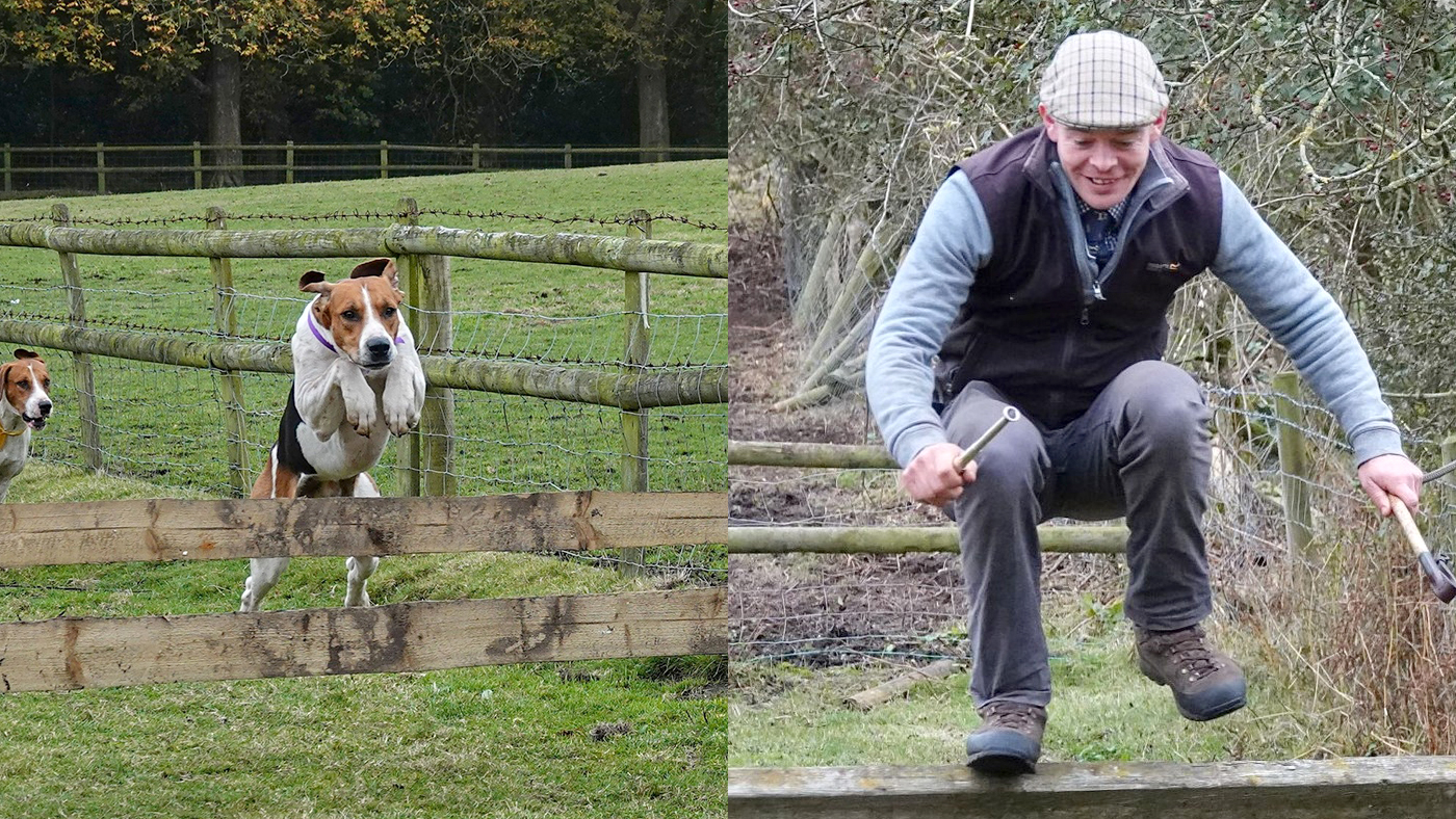 web-hounds.jpg