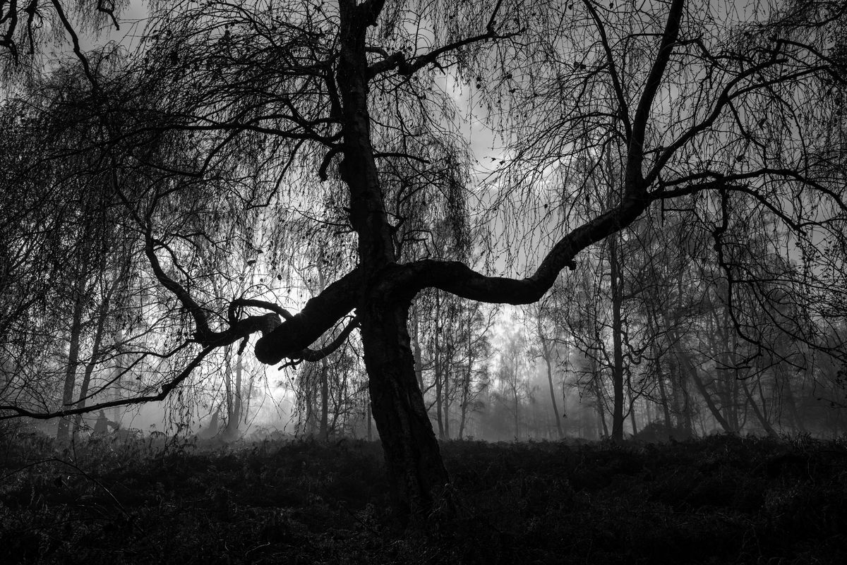 Leica Q2 Monochrom