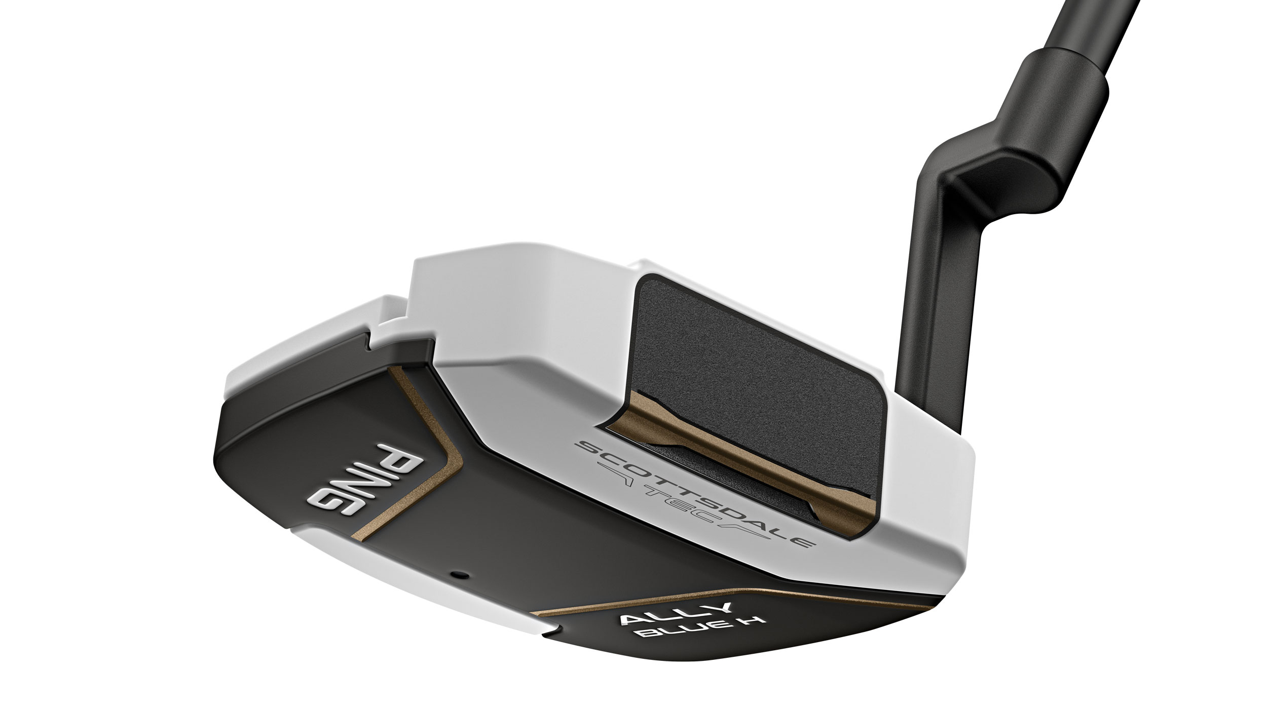 Ping Ally Blue H putter