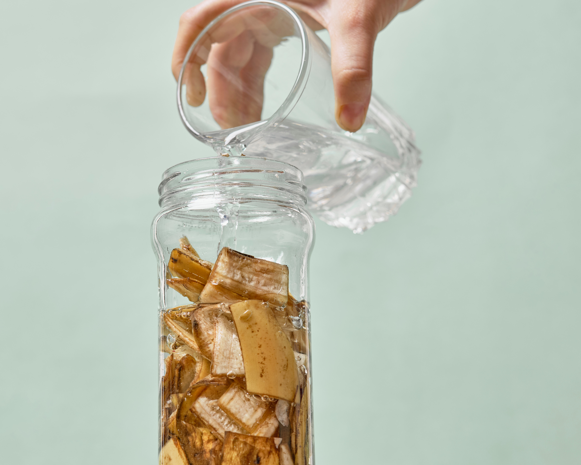Making banana peel water for plants