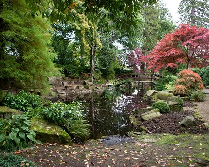 The best hotel gardens in the UK –Hotel gardens in the UK | Homes & Gardens