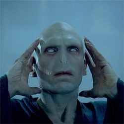 Voldemort, Harry Potter