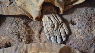 A close-up of the mummy's hand across its abdomen.