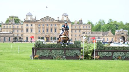 Pictured a horse and rider competing in cross-country.