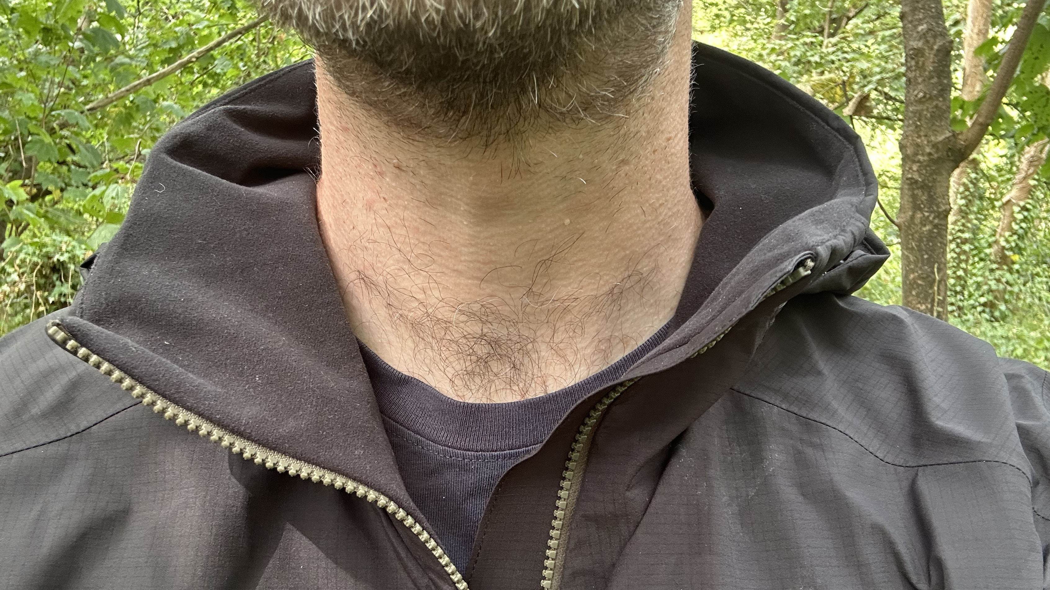 Brushed collar lining