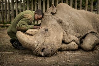 Wildlife Photographer of the Year: People's Choice Award 2020